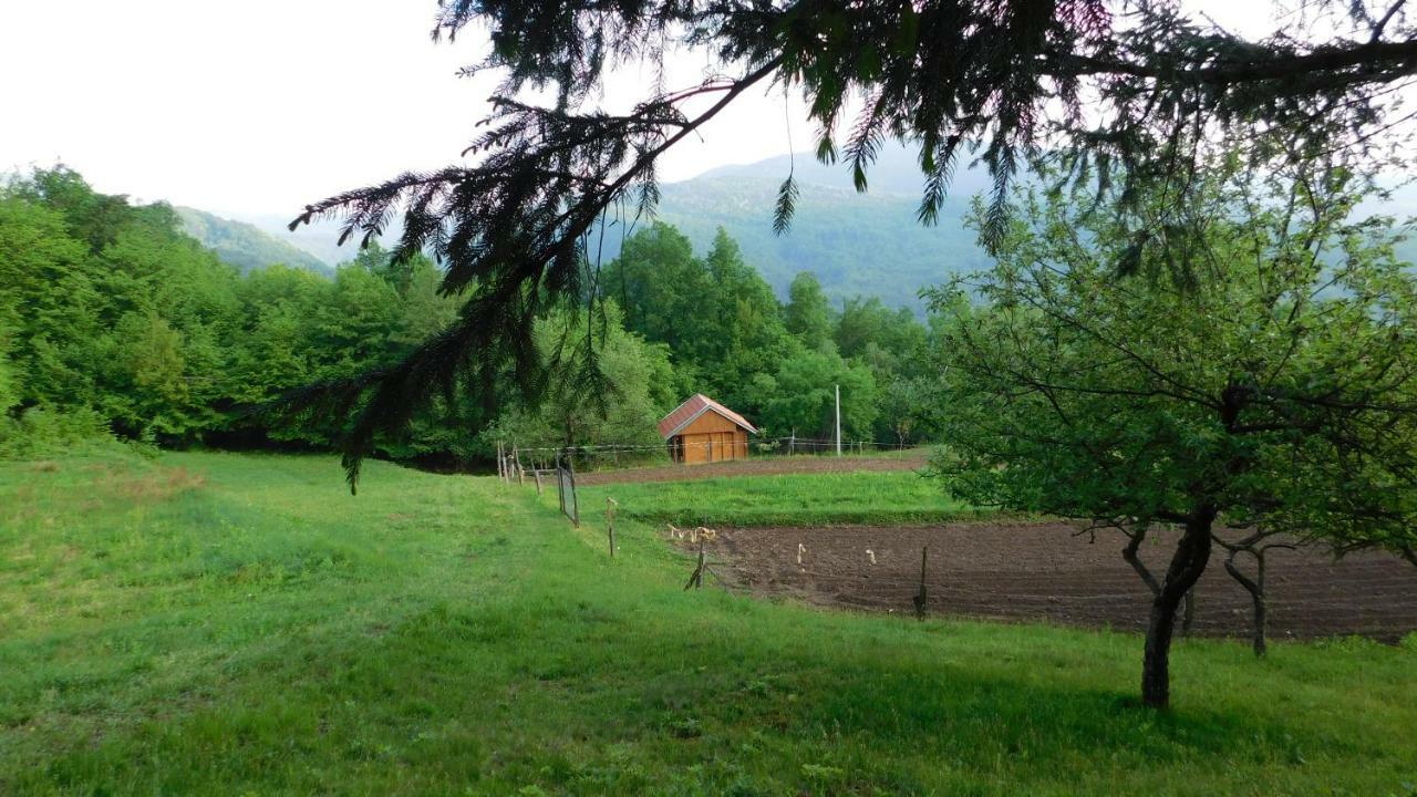 Robinzonski Turizam "Robin' S Hood" Skrad Экстерьер фото